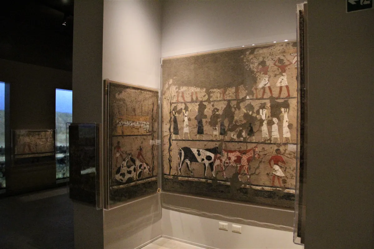 Pitture murali egizie con scene di animali e offerte esposte al Museo Egizio di Torino